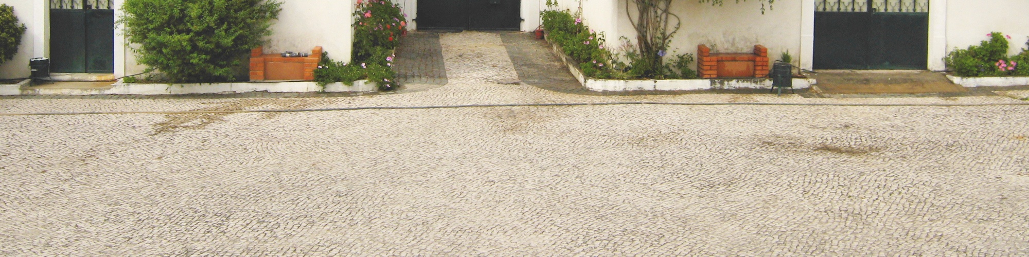 VetDom - Veterinário ao domicílio VetDom - Veterinário ao domicílio
