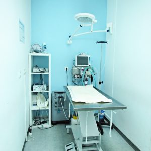 VetDom - Sala de Cirurgia
